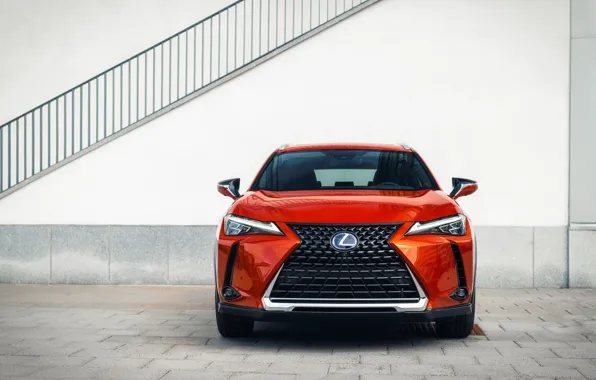 Lexus, вид спереди, кроссовер, Lexus UX, 2019, 250h