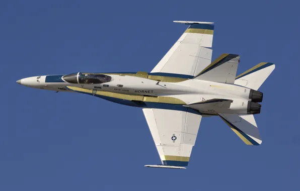 F/A-18, истребитель-бомбардировщик, Hornet, McDonnell Douglas