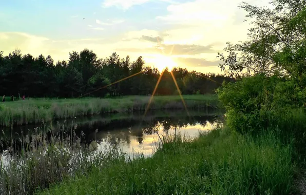 Лес, солнце, закат, река, берег, Вечер, заря