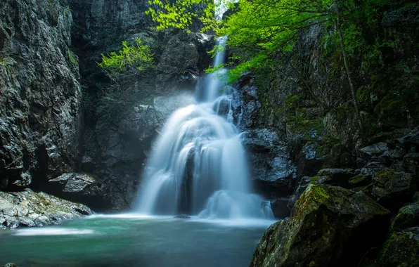 Картинка лес, природа, река, водопад