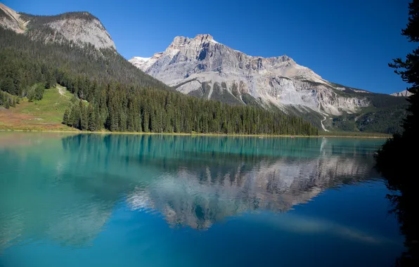 Картинка лес, небо, горы, озеро, Канада, Национальный парк Йохо
