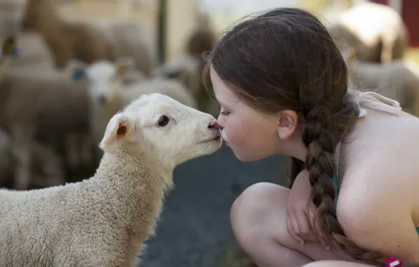 Картинка настроение, девочка, овца