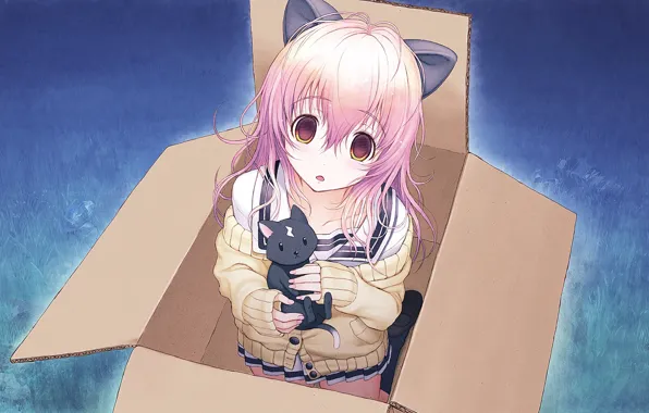 Девушка, коробка, котик, неко, ушки, Kimi to Kanojo to Kanojo no Koi, Mukou Aoi