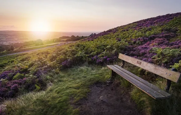 Дорога, холмы, поля, утро, скамья, Yorkshire, Sunrise on Ilkley Moor