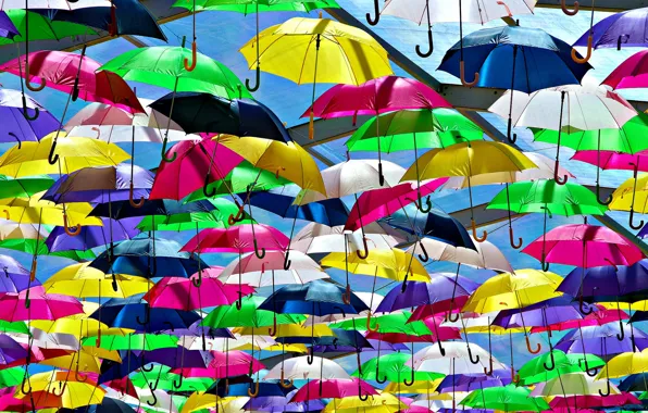 Яркий, зонт, разноцветный