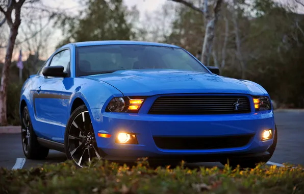 Mustang, Ford, мустанг, 2012, форд