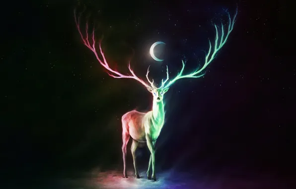 Картинка colorful, moon, fantasy, horns, stars, animal, digital art, artwork