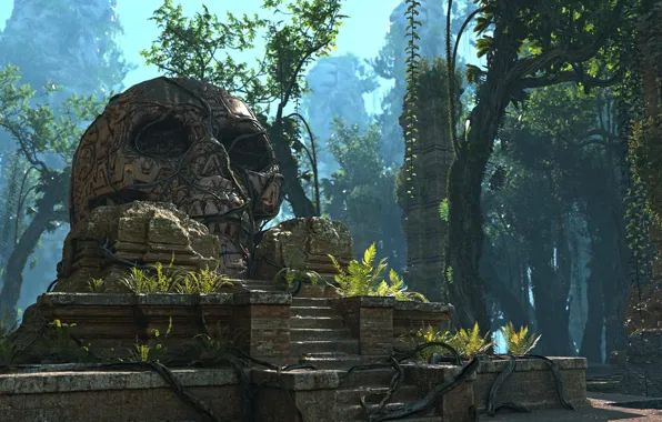 Лес, череп, Lost Civilization