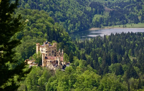 Картинка лес, озеро, замок, Германия, Бавария, Germany, Bavaria, Замок Хоэншвангау