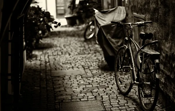 Картинка велосипед, фон, widescreen, обои, настроения, колеса, wallpaper, bicycle