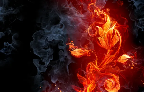 Картинка цветок, огонь, дым