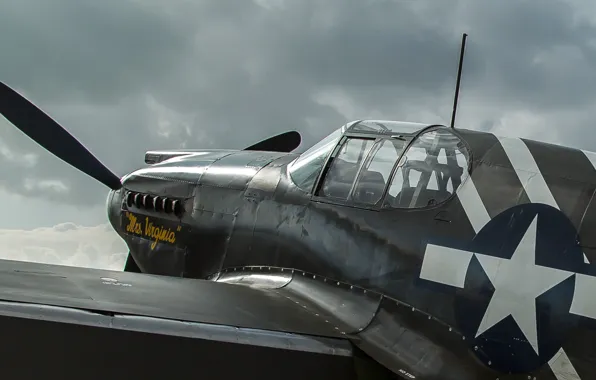 Картинка Mustang, истребитель, дальнего радиуса, P-51A