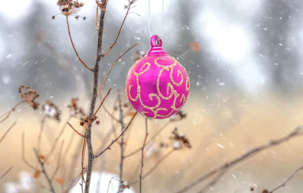 Картинка природа, новый год, шар, рождество, украшение, деревце
