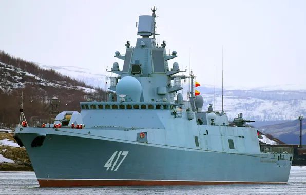 Фрегат, вмф, сторожевой корабль, адмирал горшков