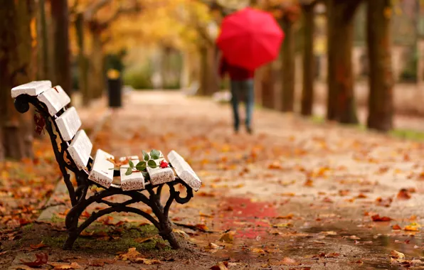 Картинка осень, цветок, парк, роза, человек, зонт, скамья, goodbye