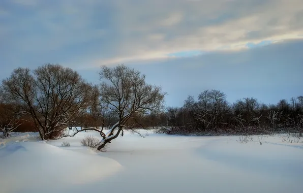 Зима, небо, снег, природа