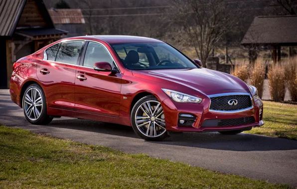 Infiniti, домики, красная, лужайка, Q50