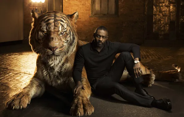 Тигр, актер, Idris Elba, Идрис Эльба, The Jungle Book, озвучка, Книга джунглей, Shere Khan