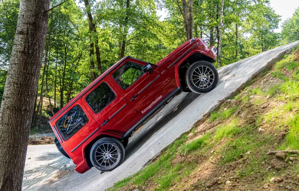 Картинка красный, Mercedes-Benz, склон, внедорожник, 4x4, G-Class, 2019