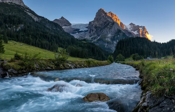 Forest, river, rocks, Mounts