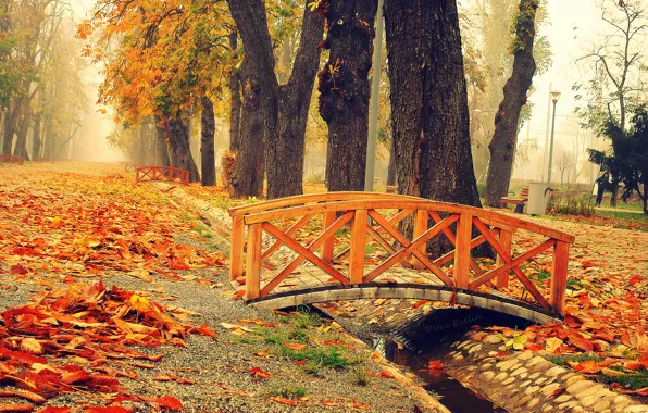 Парк, листва, Осень, мостик, bridge, park, autumn, leaves