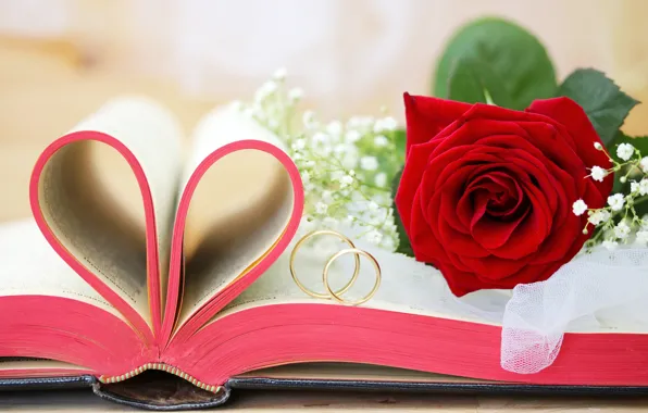 Картинка роза, книга, золотые, свадьба, flowers, обручальные кольца, wedding rings