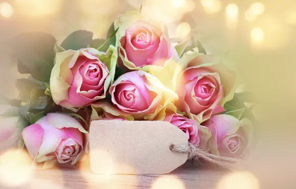 Розы, бутоны, pink, flowers, romantic, roses, valentine`s day