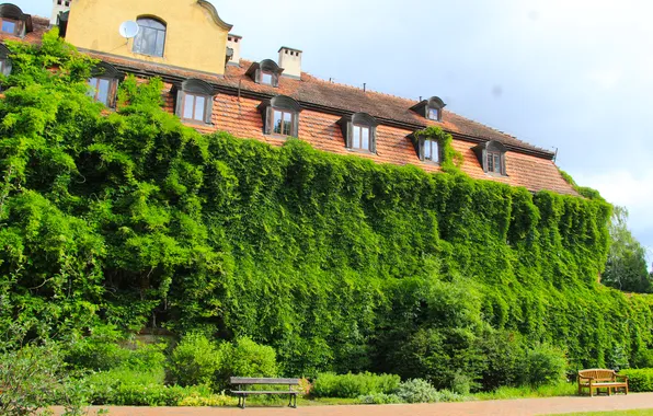 House, park, plants