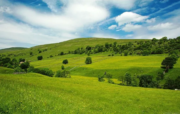 Картинка лето, небо, трава, равнина, долина, простор