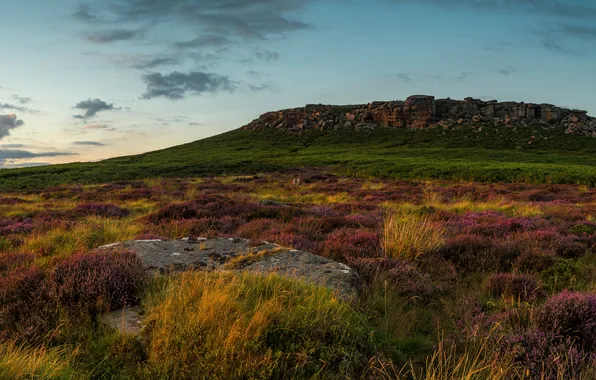 Картинка трава, камни, вечер, равнина, холм, Великобритания, лаванда, Peak District National Park