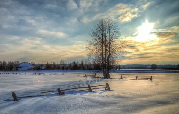 Картинка зима, снег, природа, дом, фото, дерево, Россия