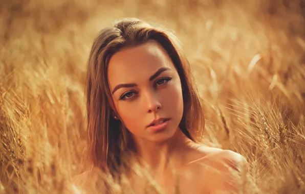Картинка пшеница, поле, взгляд, солнце, крупный план, природа, модель, портрет