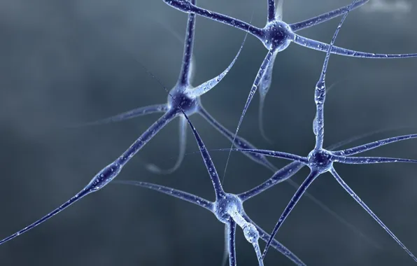 Картинка синий, клетки, Нервы