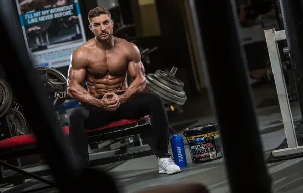 Поза, фигура, muscle, мышцы, muscles, пресс, атлет, Bodybuilding