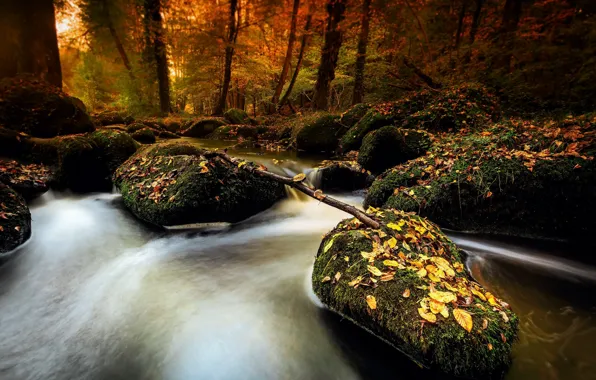 Осень, лес, река