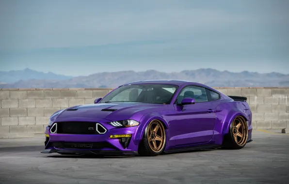 Mustang, Ford, 2018, EcoBoost, TJIN Edition, SEMA 2018