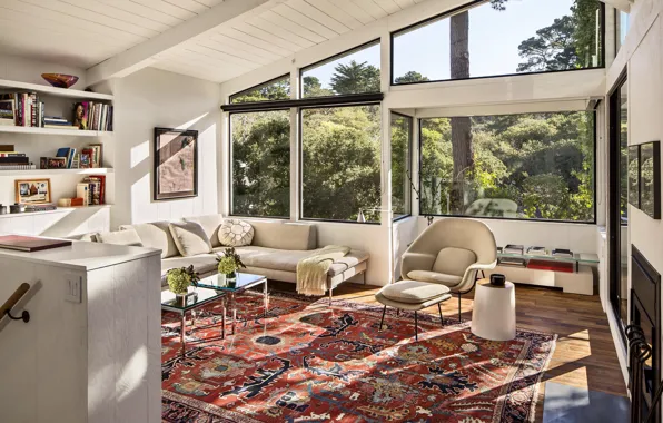 Interior, residence, cozy living rooms