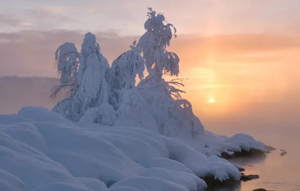 Картинка зима, вода, снег, пейзаж, закат, природа, дерево, пар