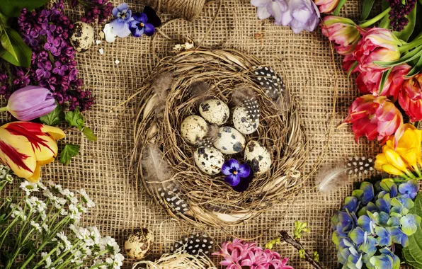 Цветы, фон, яйца, весна, рамка, colorful, Пасха, happy