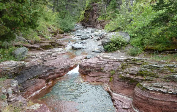 Alberta, Canada, Water, Stream, Waterton, Waterton National Park