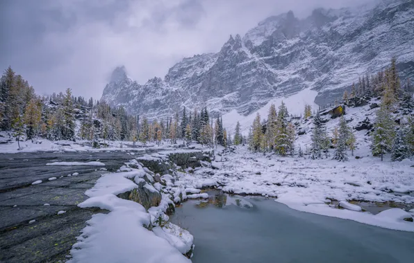 Зима, вода, снег, деревья, горы, Канада, Canada, British Columbia