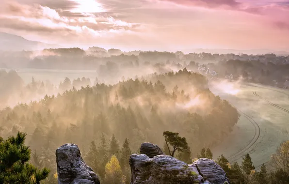 Пейзаж, туман, утро