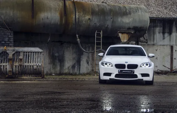 Белый, асфальт, мокрый, отражение, BMW, БМВ, white, передок