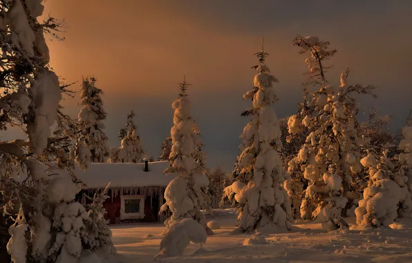 Картинка зима, снег, деревья, елки, домик