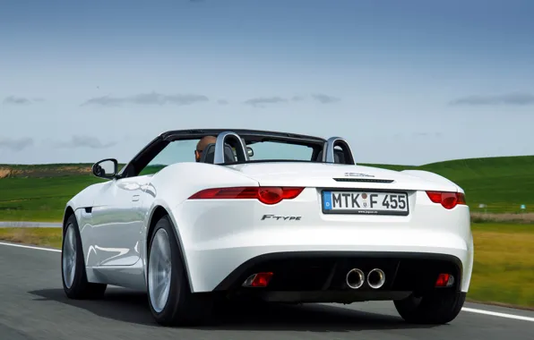 Car, машина, небо, Jaguar, white, вид сзади, 2013, F-Type