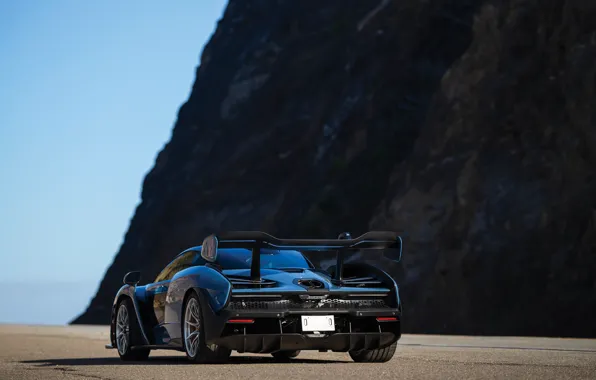 Картинка McLaren, Senna, rear view, McLaren Senna