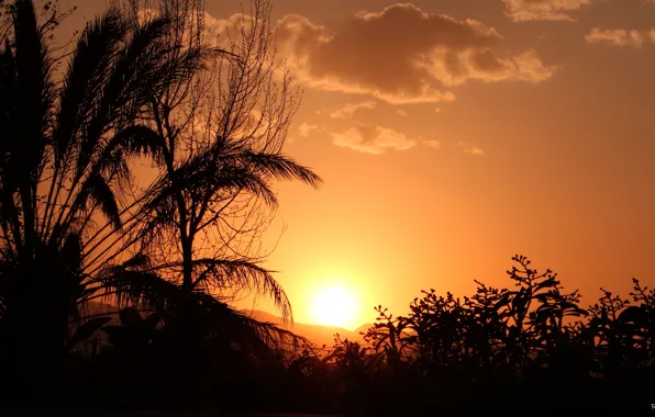 Sad, sky, photography, landscape, nature, sunset, beautiful, evening