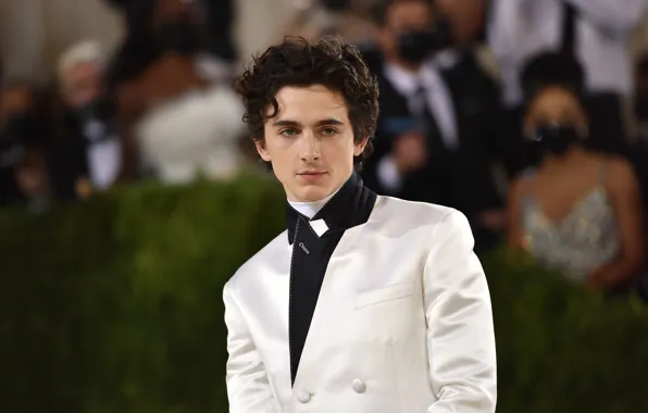 Взгляд, костюм, актер, в белом, фотосесия, Тимоти Шаламе, Timothée Chalamet