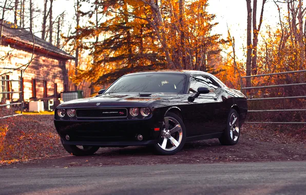 Дорога, осень, dodge, challenger