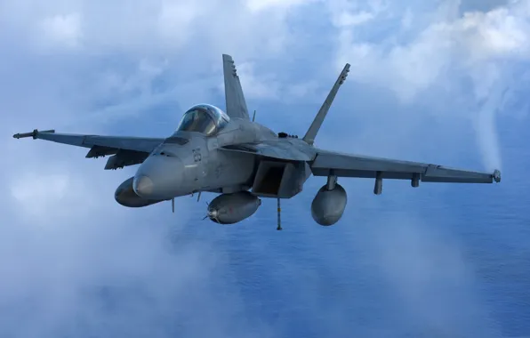 Картинка Hornet, палубный истребитель-бомбардировщик, McDonnell Douglas, FA-18